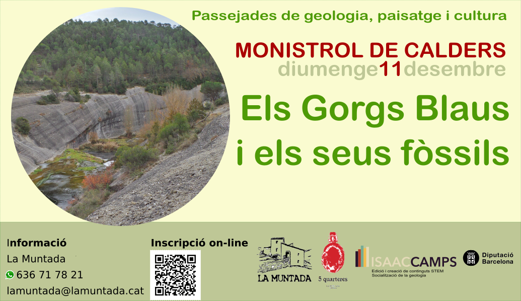 Els Gorgs Blaus i els seus fòssils