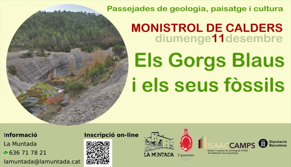 Els Gorgs Blaus i els seus fòssils