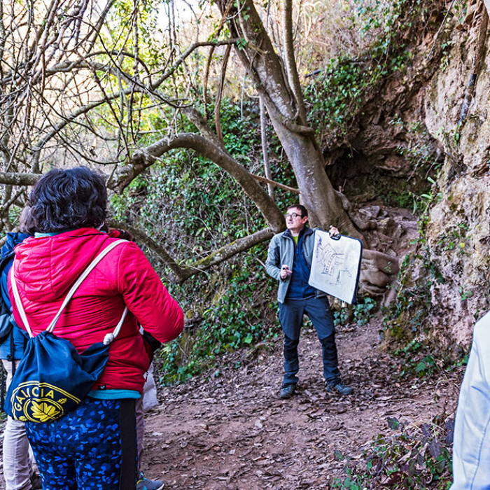 Socialització de la geologia