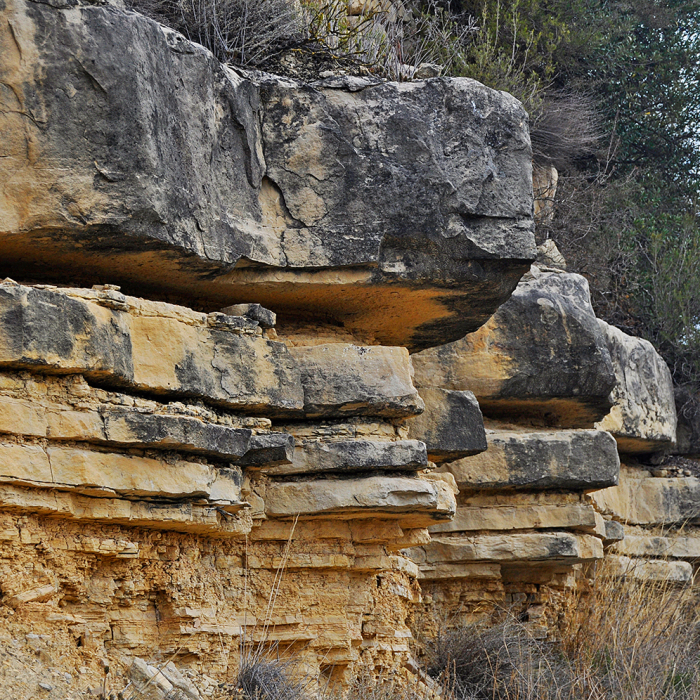 Socialització de la geologia